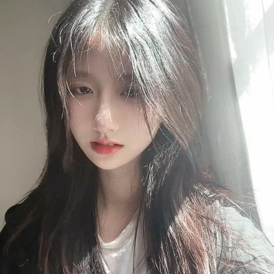 盗贼生涯